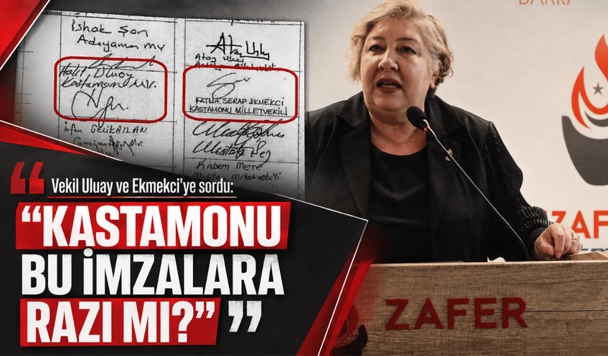 Kastamonu Milletvekillerine sordu: "Millet razı mı?"