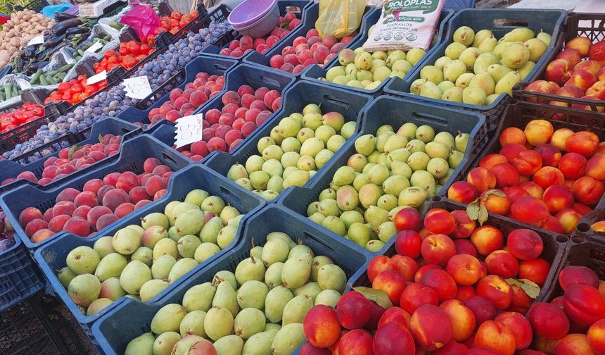 Kastamonu Salı Pazarı’ndaki bolluk fiyatlara yansıdı
