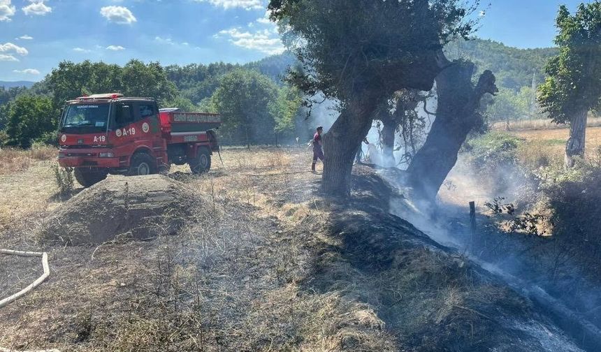 Kastamonu'da çıkan anız yangınına ekiplerden hızlı müdahale
