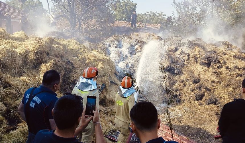 Kastamonu'da çıkan yangında çiftçinin tüm emekleri küle döndü