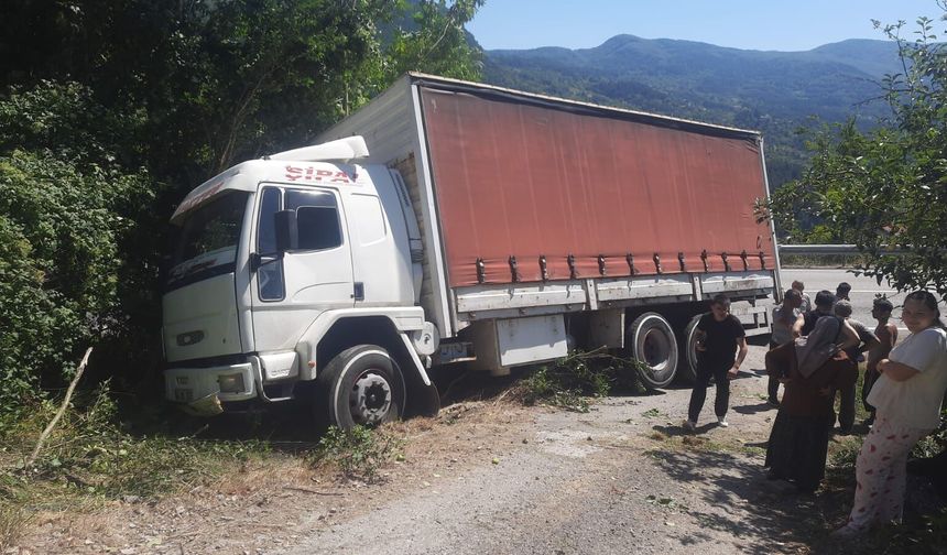 Kastamonu'da kaza: Kitap yüklü kamyon bahçeye uçtu