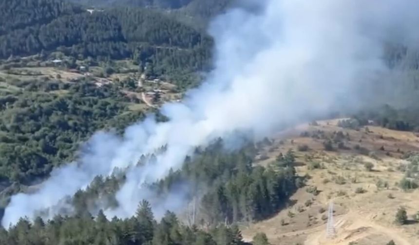 Kastamonu’da korkutan yangın büyümeden söndürüldü