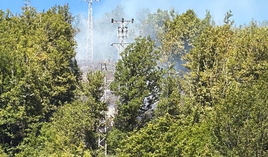 Kastamonu’da yangın paniği! Ekipler harekete geçti