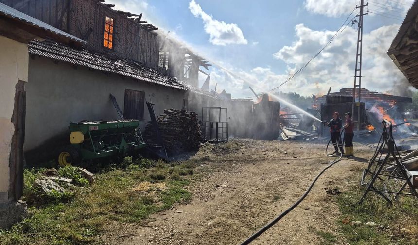 Kastamonu'da yangın 2 evi yuttu, 7 hayvan telef oldu!