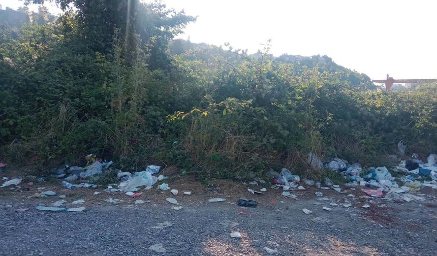 İnebolu’da plajı çöplüğe çevirdiler!