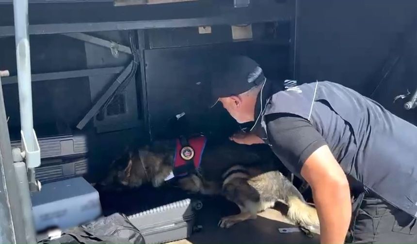 Kastamonu dahil 28 ilde zehir tacirleri yakalandı