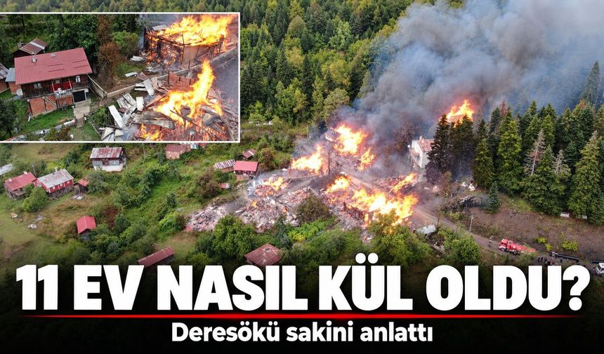 Deresökü’de 11 evin yandığı yangın neden büyüdü?