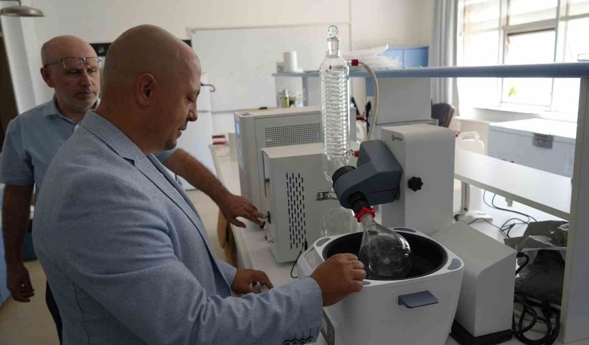 Kanlıca mantarı güneş kremine dönüştü: Patenti alındı!