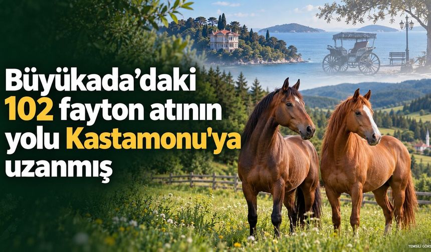 Büyükada’daki 102 fayton atının yolu Kastamonu'ya uzanmış