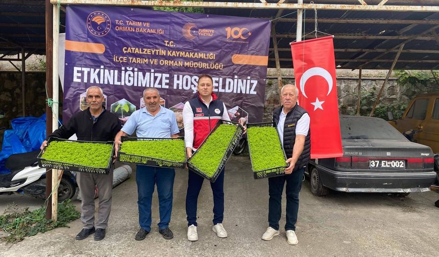 Çatalzeytin’de çiftçinin yüzünü güldüren destek