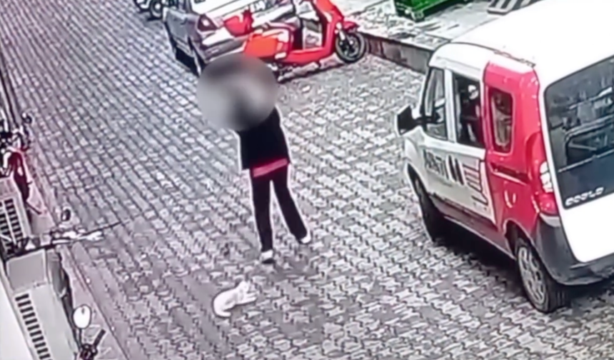 Kastamonu'da şaşkına çeviren olay