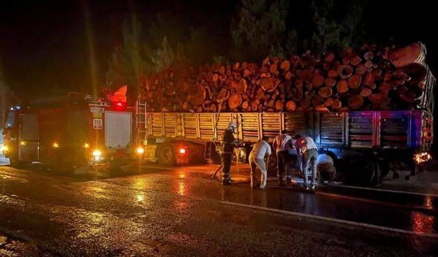 Kastamonu sınırındaki tır yangını korkuttu
