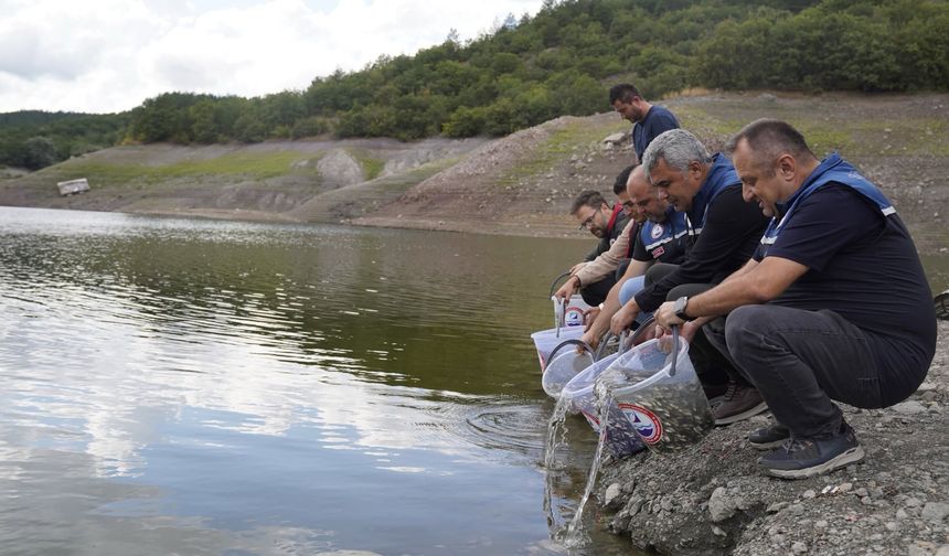 Kastamonu sularına 800 bin sazan yavrusu bırakıldı