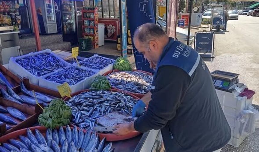 Kastamonu’da balıkçılara sıkı denetim