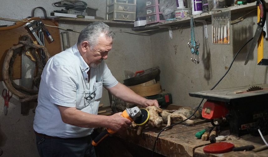 Kastamonu’da elleriyle kurumuş ağaçlara ikinci hayatı veriyor