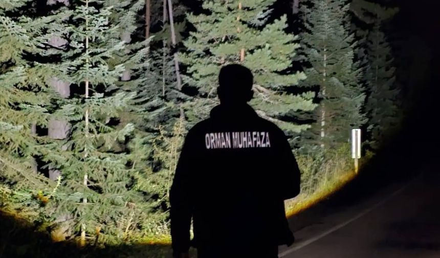 Kastamonu ormanları gece gündüz korunuyor