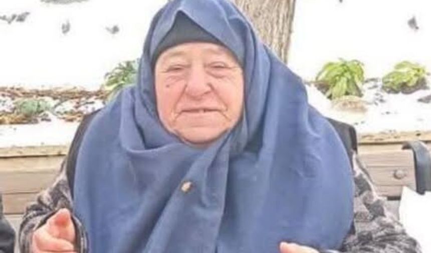 Kastamonu’nun sevilen siması “Güdü” hayatını kaybetti