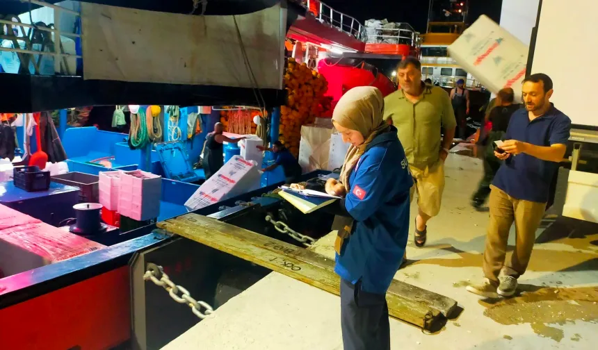 Palamutla dönen tekneler İnebolu Limanı’nı hareketlendirdi