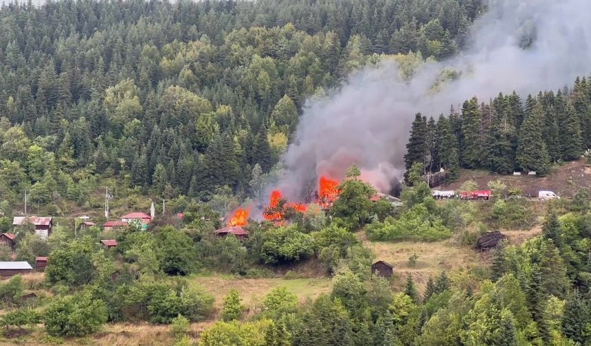 Kastamonu'da köy evinde çıkan yangın 8 eve daha sıçradı