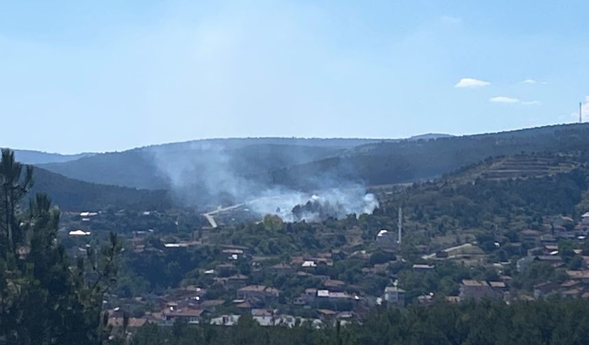Kastamonu’daki yangın mezarlıkta çıkmış!