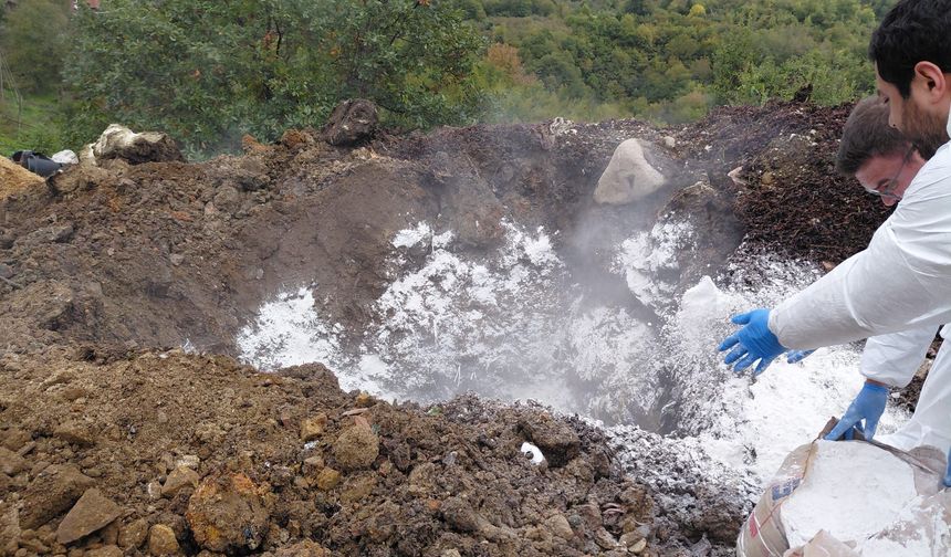Cide’de Brusella şüphesi bulunan inek imha edildi