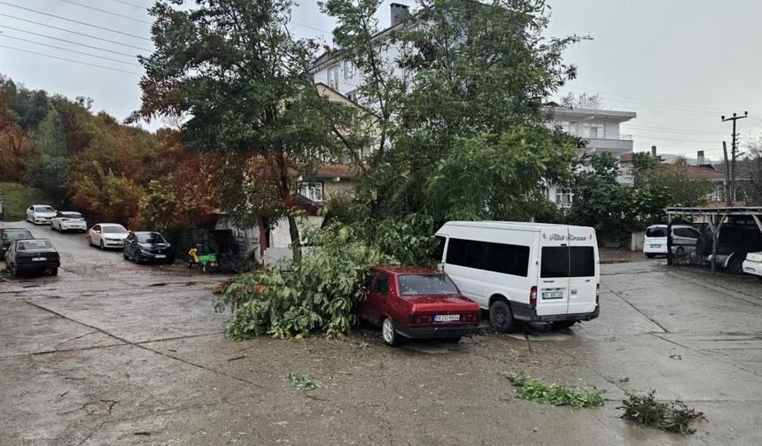 Cide’de rüzgârın şakası yok