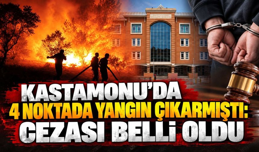 Kastamonu’da 4 noktada yangın çıkarmıştı: Cezası belli oldu