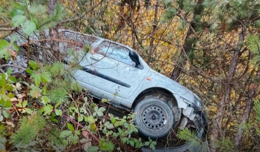 Kastamonu'da bir araç şarampole uçtu