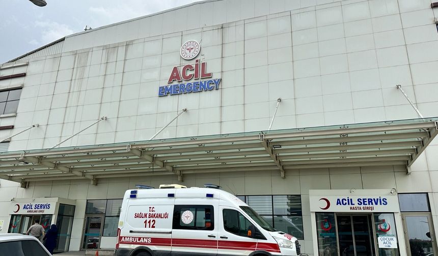 Kastamonu’da mantar zehirlenmesi: 30 kişi tedavi altında