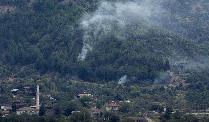 Kastamonu'da orman yangını paniği
