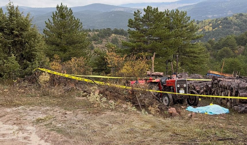 Kastamonu'da ormanlık alandaki kavga ölümle bitti