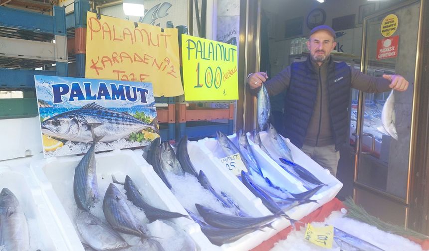 Kastamonu’da palamut bereketi balık tezgahlarına yansıdı