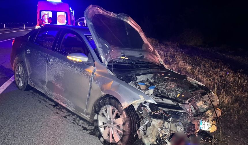 Kastamonu’da yola çıkan domuz sürüsü kazaya neden oldu: 2 YARALI