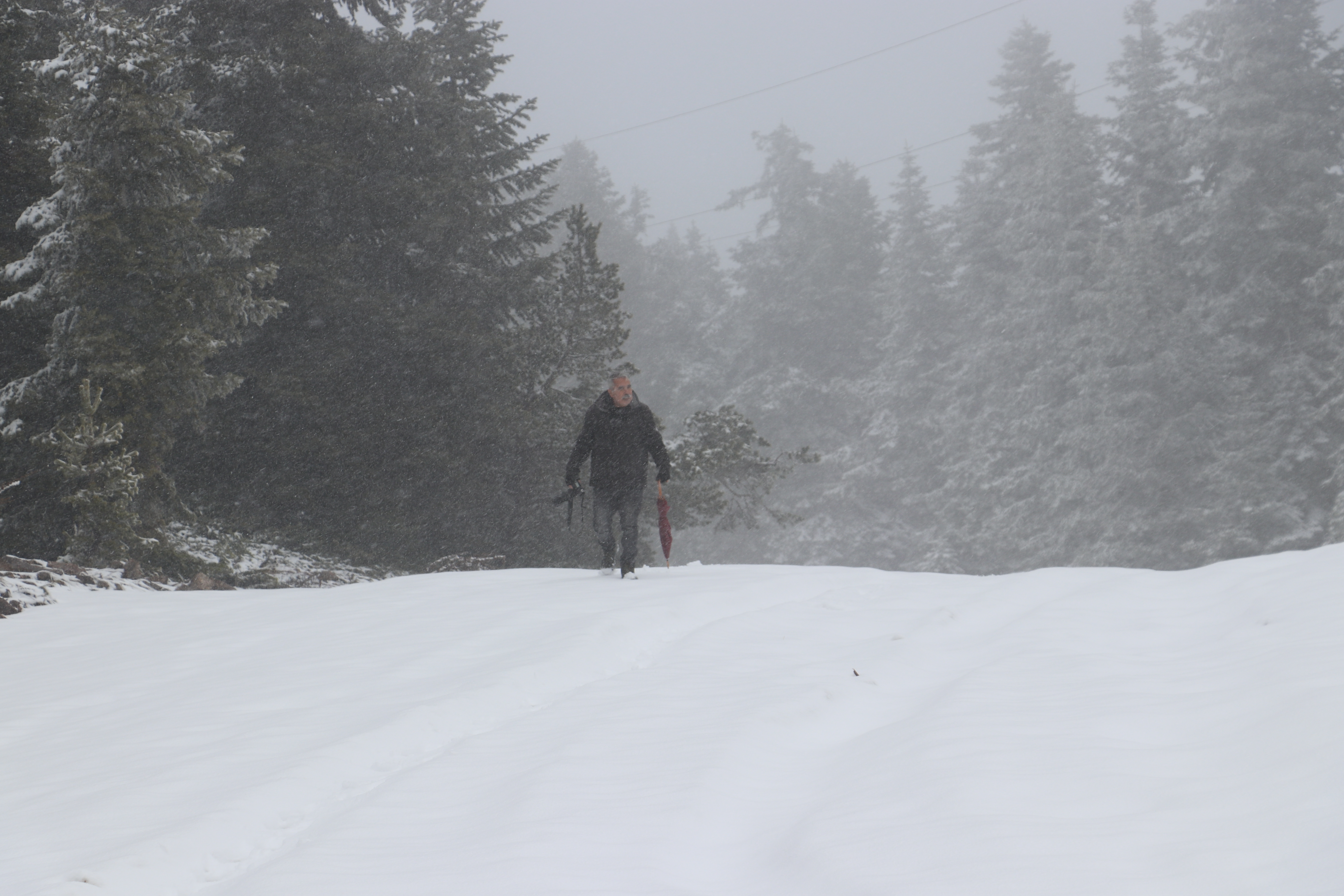 AA-20230428-30986101-30986095-ILGAZ_DAGINA_KAR_YAGDI