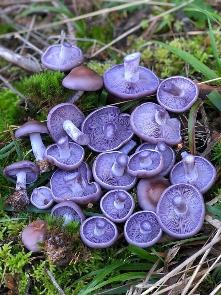 WhatsApp Image 2023-04-27 at 12.50.55 PM (2)