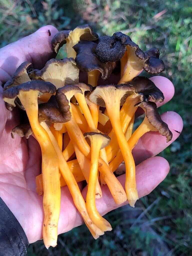 WhatsApp Image 2023-04-27 at 12.50.55 PM (5)