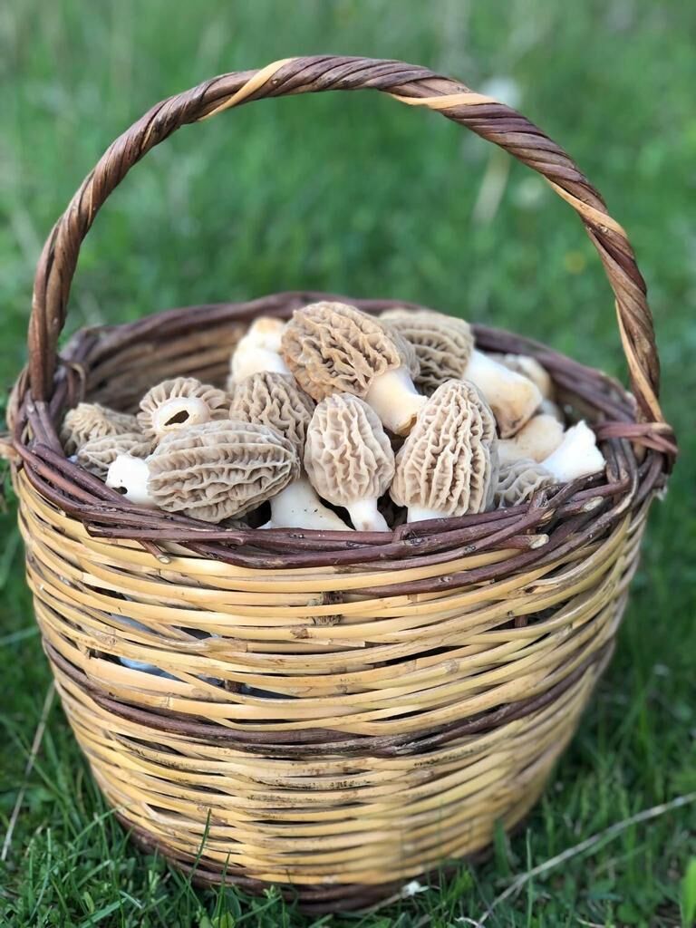 WhatsApp Image 2023-04-27 at 12.50.55 PM