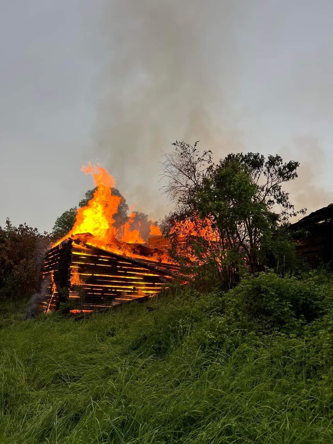 88758F03-0056-438D-8D87-9D8836C23AEA