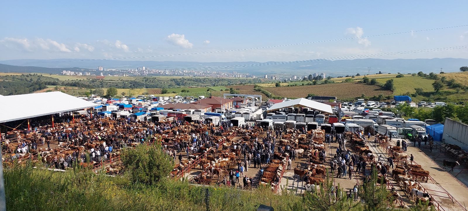 1c22c883-6272-4b04-b74b-24b25418e459