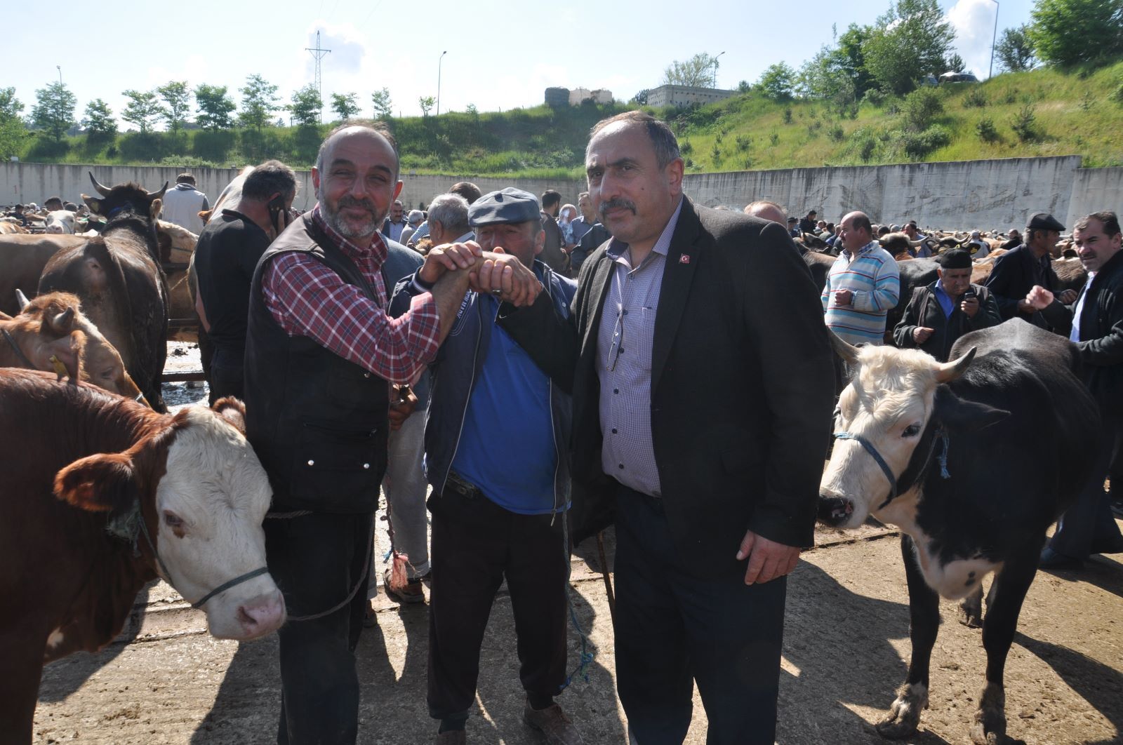 4f377fe0-85cd-4e45-be4c-4b2dd5d1dea1