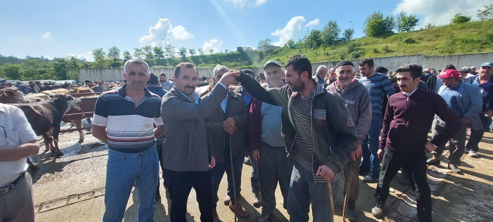 77325dba-c11c-4858-a1a8-1a24772f6874