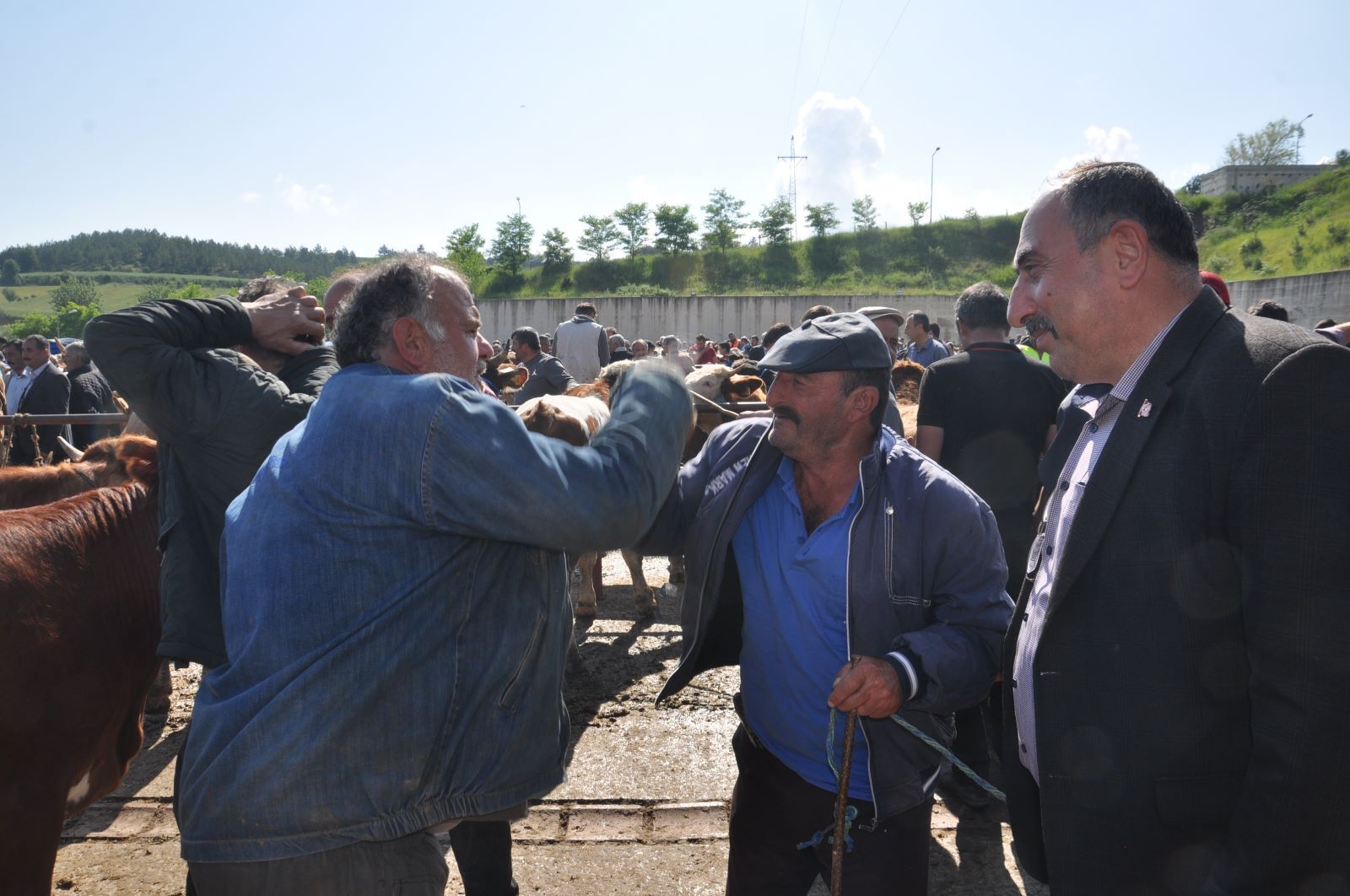 9d057543-1b1a-4ea1-ae1a-cf49fe15df38