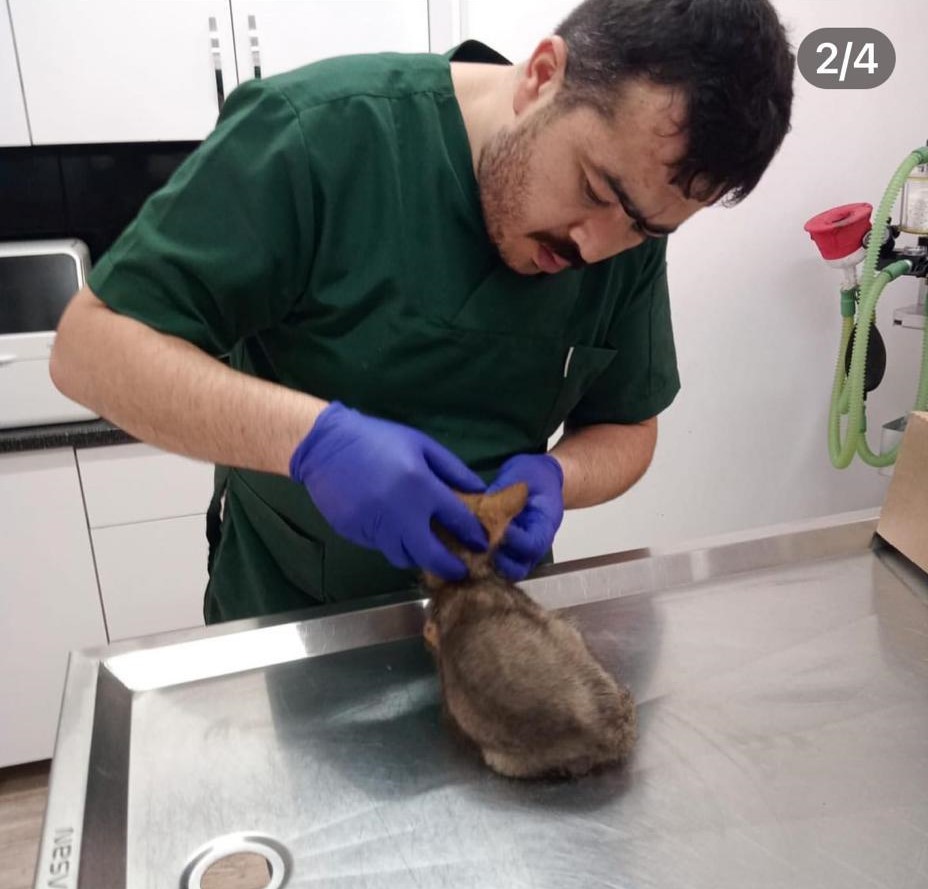 WhatsApp Image 2023-06-30 at 11.34.05 AM