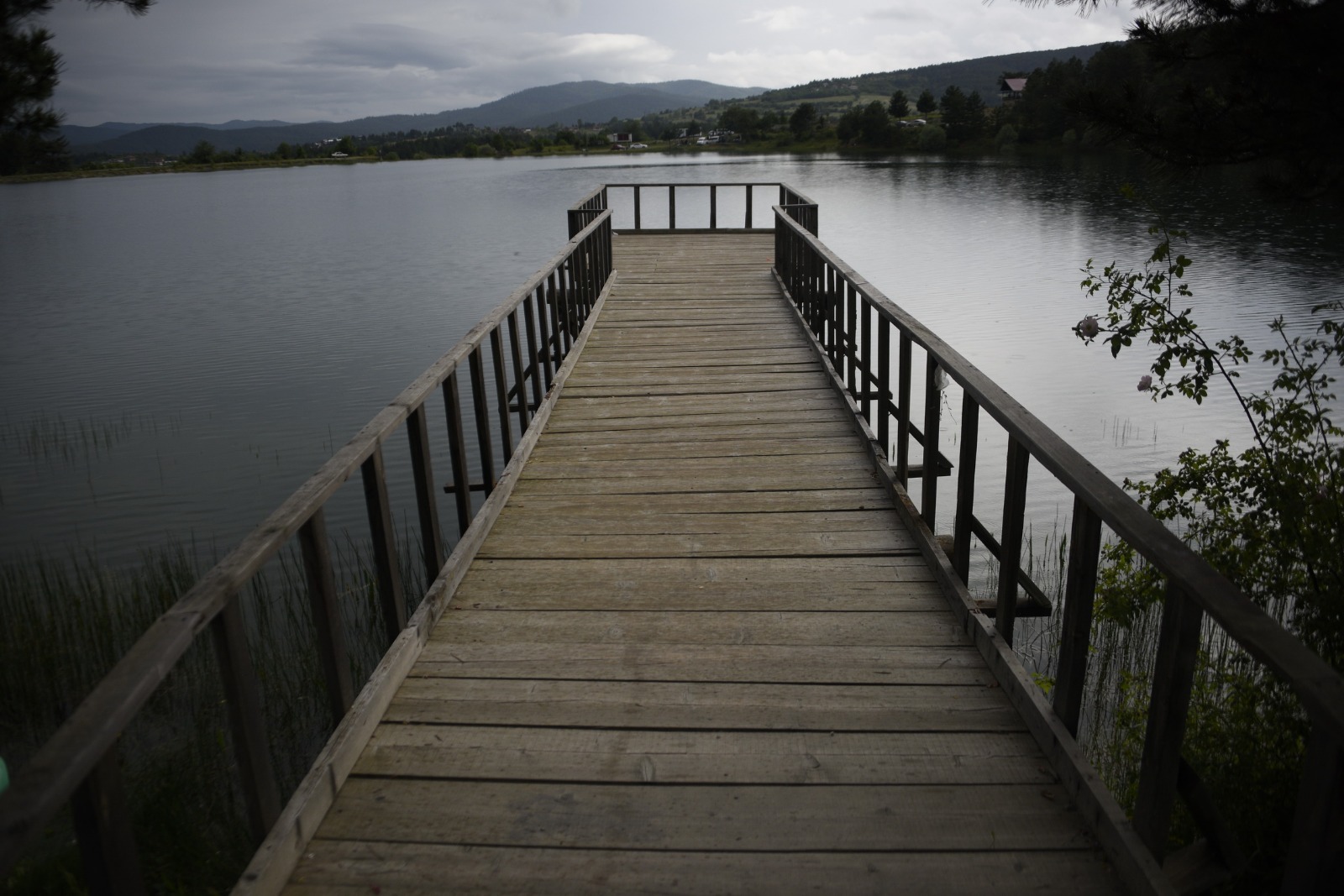 bae54c72-5438-4a45-ae90-189ff91fc138