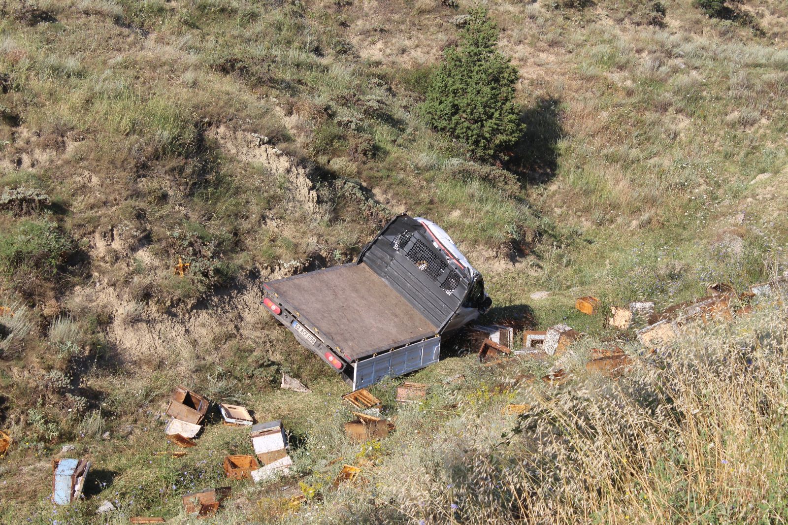 tosyaarıkamoynukaza (8)