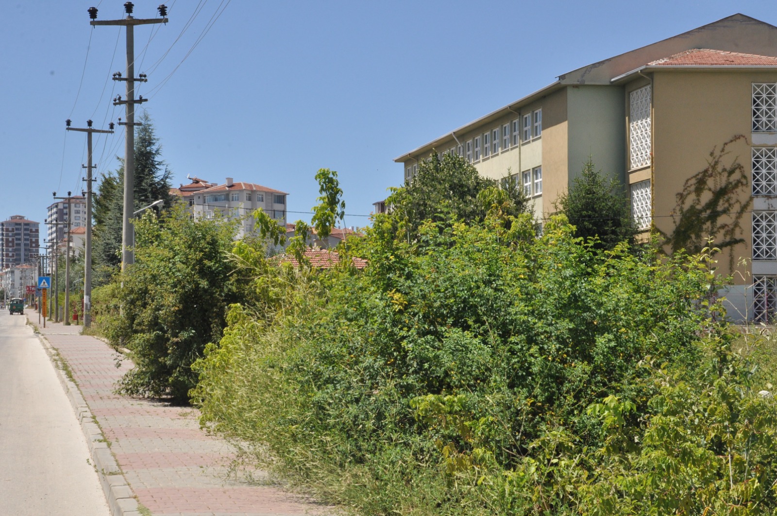 WhatsApp Image 2023-07-18 at 15.56.45