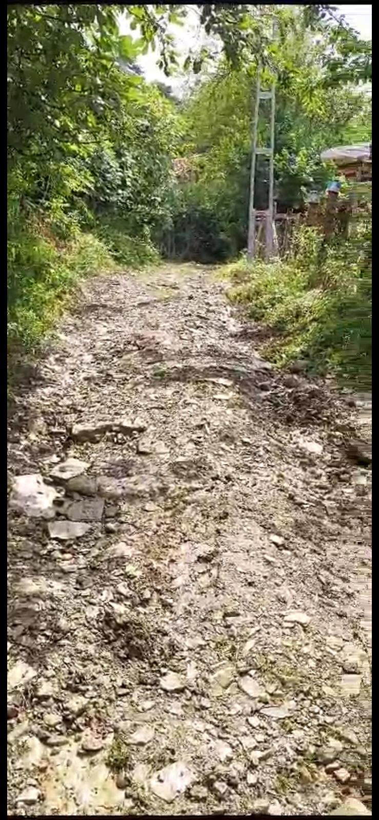 WhatsApp Image 2023-07-25 at 14.09.11