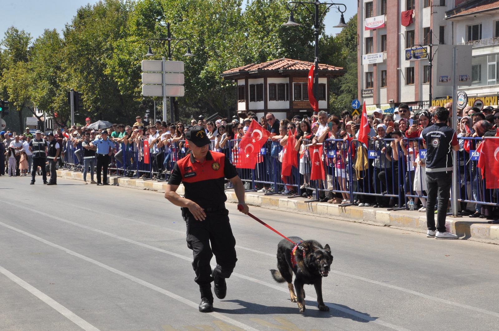 buyukgurur (7)