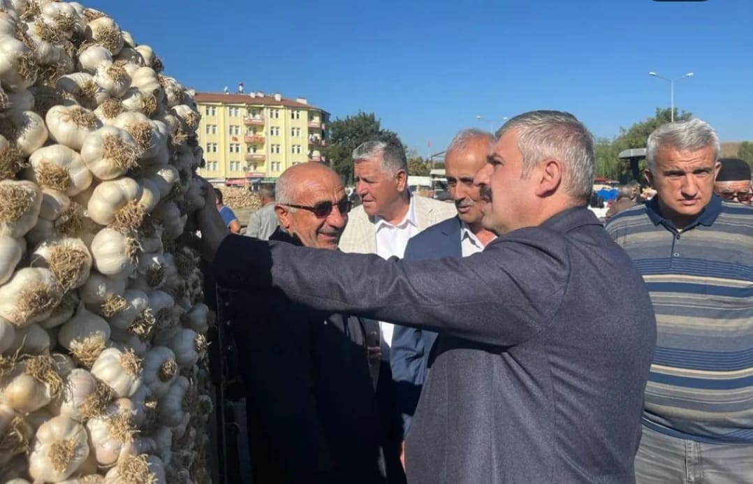 WhatsApp Image 2023-09-26 at 14.38.53