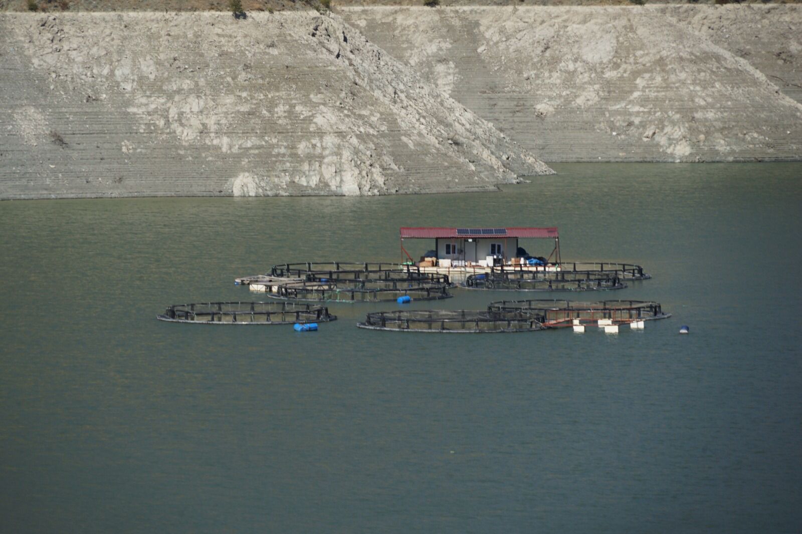 WhatsApp Image 2023-09-27 at 10.56.52